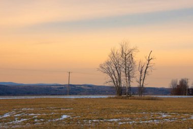 Kış sahnesinde karlı ve tepeli tarla 