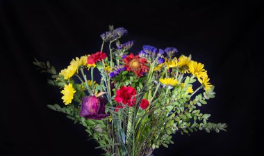 Siyah arkaplandaki güzel çiçekleri kapat.