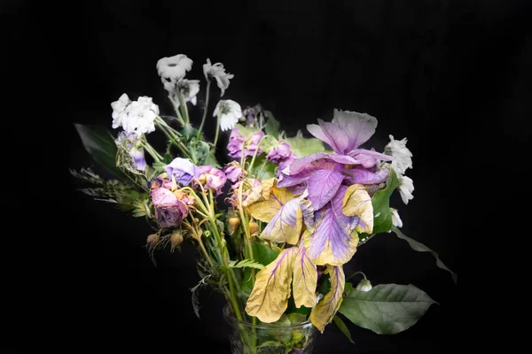 Siyah Arkaplandaki Güzel Çiçekleri Kapat — Stok fotoğraf