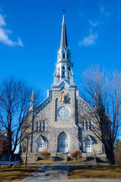 Katholieke Kerk Gebouw Met Kale Bomen Het Zonlicht — Stockfoto
