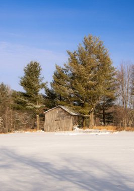 Ağaçlar ve karlı tarlalar olan eski ahşap kulübe.