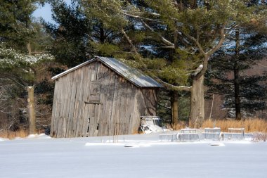 Eski ahşap kulübe ve karlı çimlerin yanındaki yeşil ağaçlar.