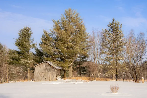 Alter Holzschuppen Mit Bäumen Und Verschneitem Feld — Stockfoto
