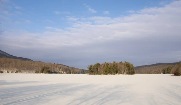 Paesaggio Invernale Innevato Con Alberi Forestali Lontani Montagne — Foto Stock