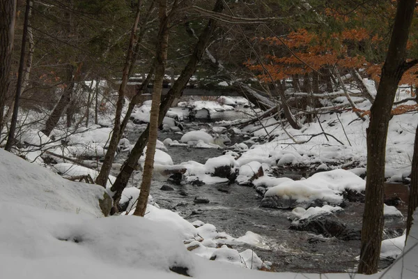 Snowy Winter Scene Trees River — Stock Photo, Image