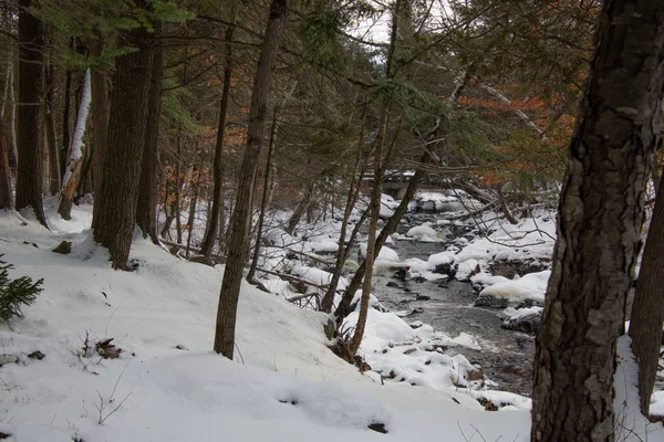 有树木和河流的冬季雪景 — 图库照片