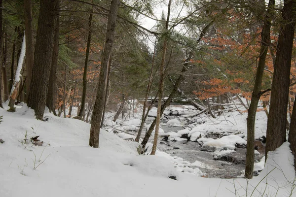 有树木和河流的冬季雪景 — 图库照片