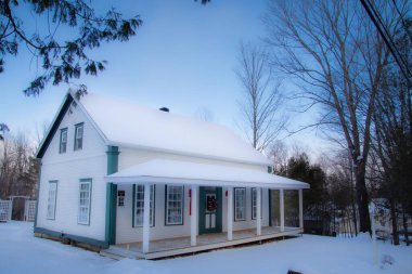 Kış sahnesinde Noel süslenmiş ev