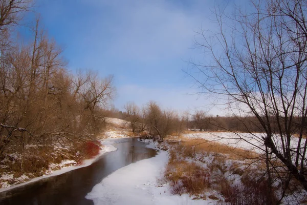雪に囲まれた森の中の川の眺め — ストック写真