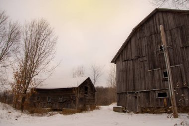 Çıplak ağaçlarla kaplı eski ahşap çiftlik binaları.