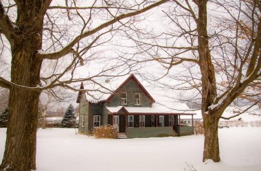 Karlı orman sahnesindeki eski ahşap ev