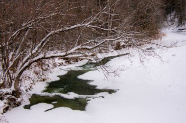 Dere ve karlı güzel kış manzarası