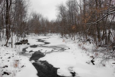 Nehir ve karlı güzel kış manzarası