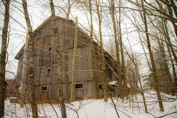 Old Farm Shed Bare Trees Snowy Scene — Stockfoto