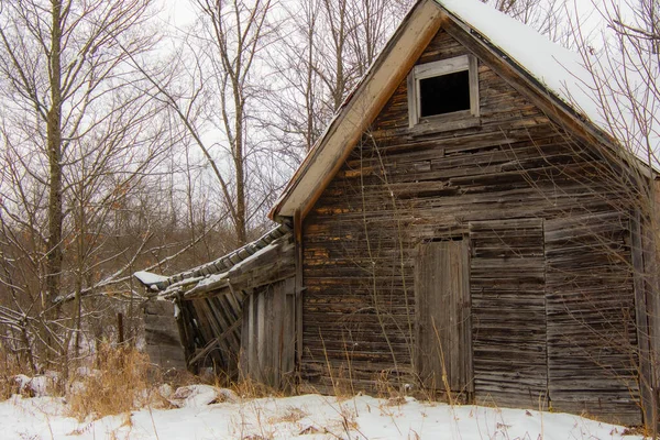 Старый Деревянный Дом Заснеженном Лесу — стоковое фото
