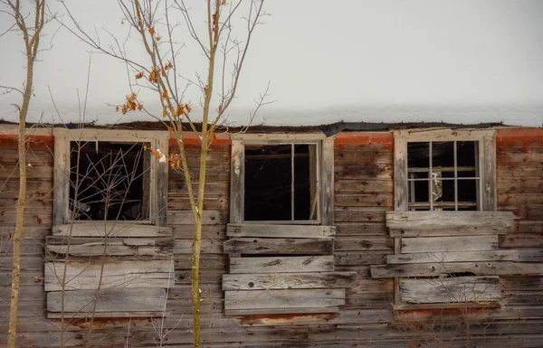 Régi Fából Készült Pajta Homlokzat Ablakokkal Csupasz Fák Előtérben — Stock Fotó