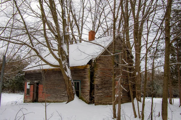 Oud Houten Huis Besneeuwd Bos Scene — Stockfoto