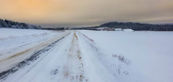 Panoramisch Uitzicht Besneeuwd Winterlandschap — Stockfoto