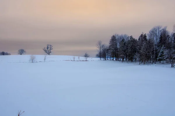 Snowy Land Scene Trees Sunset Sky — Stock Photo, Image