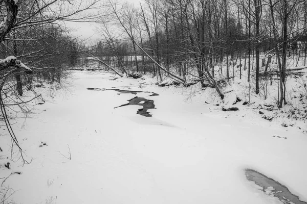 Χειμερινό Τοπίο Χιόνι Γυμνά Δέντρα Και Ρυάκι — Φωτογραφία Αρχείου