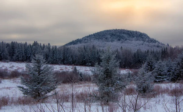 Piękny Zimowy Krajobraz Wzgórzem Drzewami Śniegiem Pod Zachodem Słońca — Zdjęcie stockowe