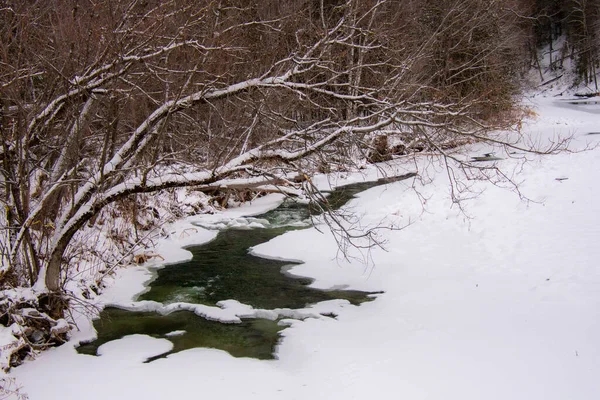 Hermosa Escena Invierno Con Arroyo Nieve — Foto de Stock