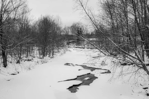 Beautiful Winter Scene Creek Snow — Stock Photo, Image