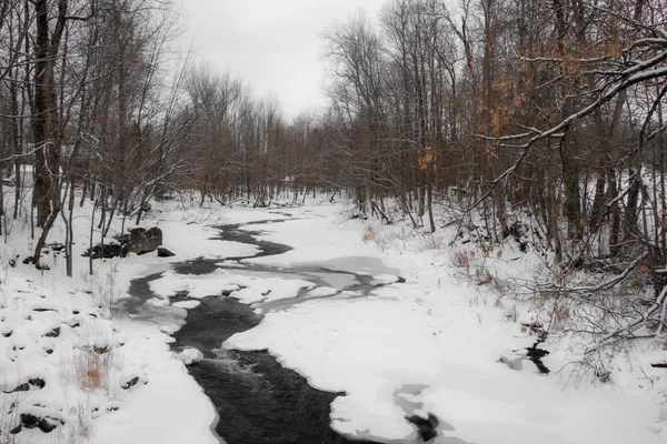 Nehir ve karlı güzel kış manzarası