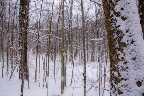 Zimní Krajina Malebný Pohled — Stock fotografie