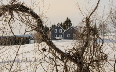 Farm barn in village during winter