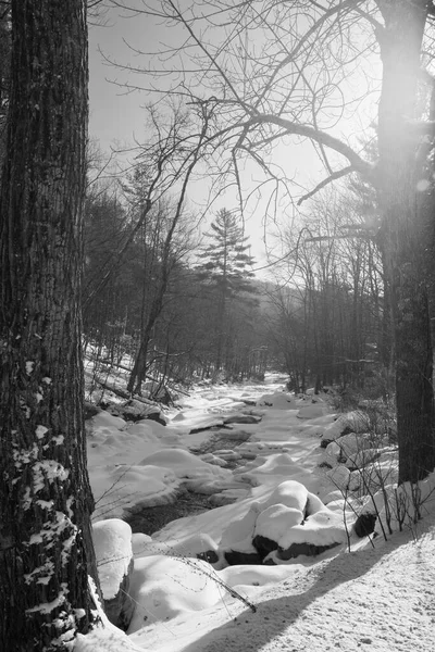 在冬季景观河 — 图库照片