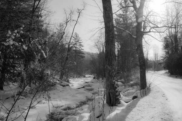 Río Paisaje Invierno — Foto de Stock