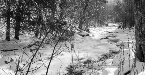 Ποταμού Στο Χειμωνιάτικο Τοπίο — Φωτογραφία Αρχείου