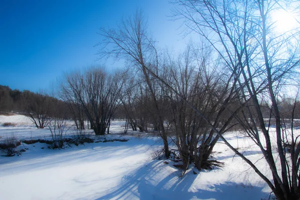 Inverno Paisagem Vista Panorâmica — Fotografia de Stock