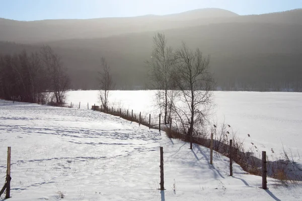 Winter Landscape Scenic View — Stock Photo, Image