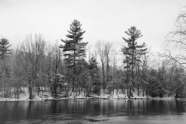 River Winter Landscape — Stock Photo, Image