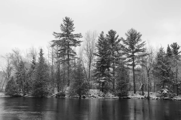冬の景色の川 — ストック写真