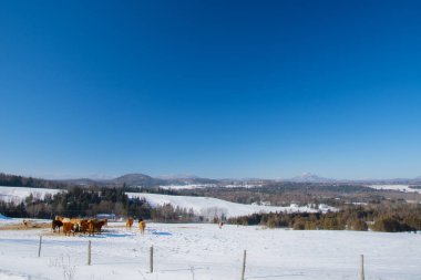 Farm barn in village during winter