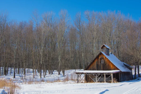 Barn Winter Village — Photo