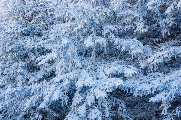 Zimowy Krajobraz Malowniczy Widok — Zdjęcie stockowe