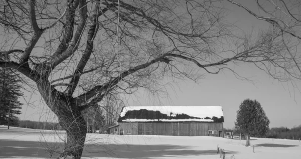 Scène Hivernale Rurale Vue Sur Village Enneigé — Photo