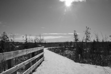 Doğanın güzel manzarası
