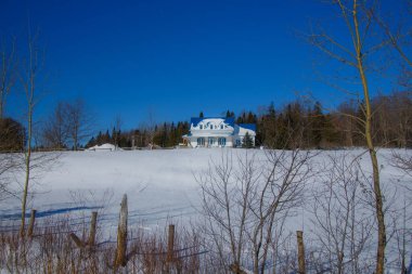 Kar ve ağaçlarla kaplı kış manzarası