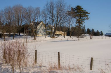 Kar ve ağaçlarla kaplı kış manzarası