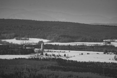 Dağlardaki ormanın güzel manzarası.