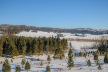 Karla kaplı ağaçlarla kaplı güzel kış manzarası