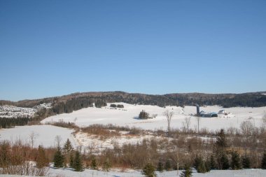 Kar ve ağaçlarla dolu güzel kış manzarası