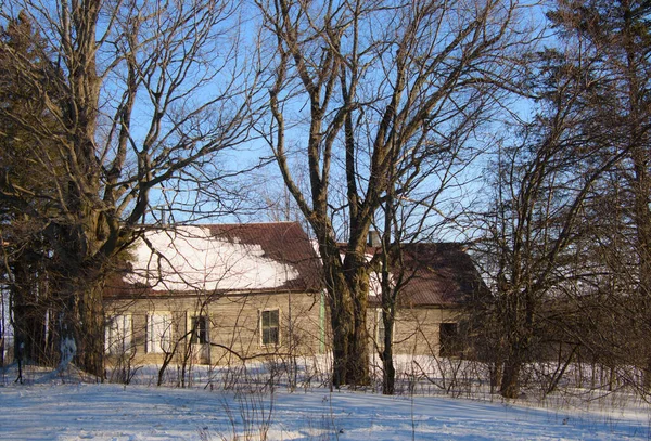 Stary Drewniany Dom Parku — Zdjęcie stockowe