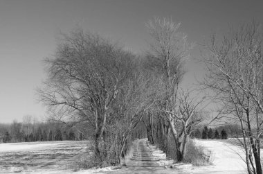 Kırsal yol kışın