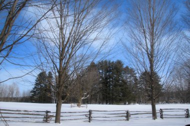 Soğuk Quebec kışında Güzel Kış Manzarası
